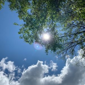 Meet your Posher, Eliana